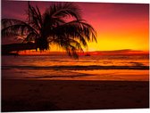 Acrylglas - Silhouet van Palmboom Hangend over het Strand tijdens Rozekleurige Zonsondergang - 100x75 cm Foto op Acrylglas (Wanddecoratie op Acrylaat)