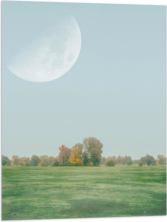 Vlag - Bomen - Gras - Kleuren - Maan - Landschap - 60x80 cm Foto op Polyester Vlag