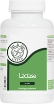 Lactase, helpt bij het verteren van lactose uit koemelk