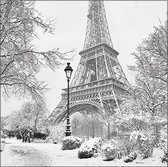 1 Pakje papieren lunch servetten - Winter in Paris