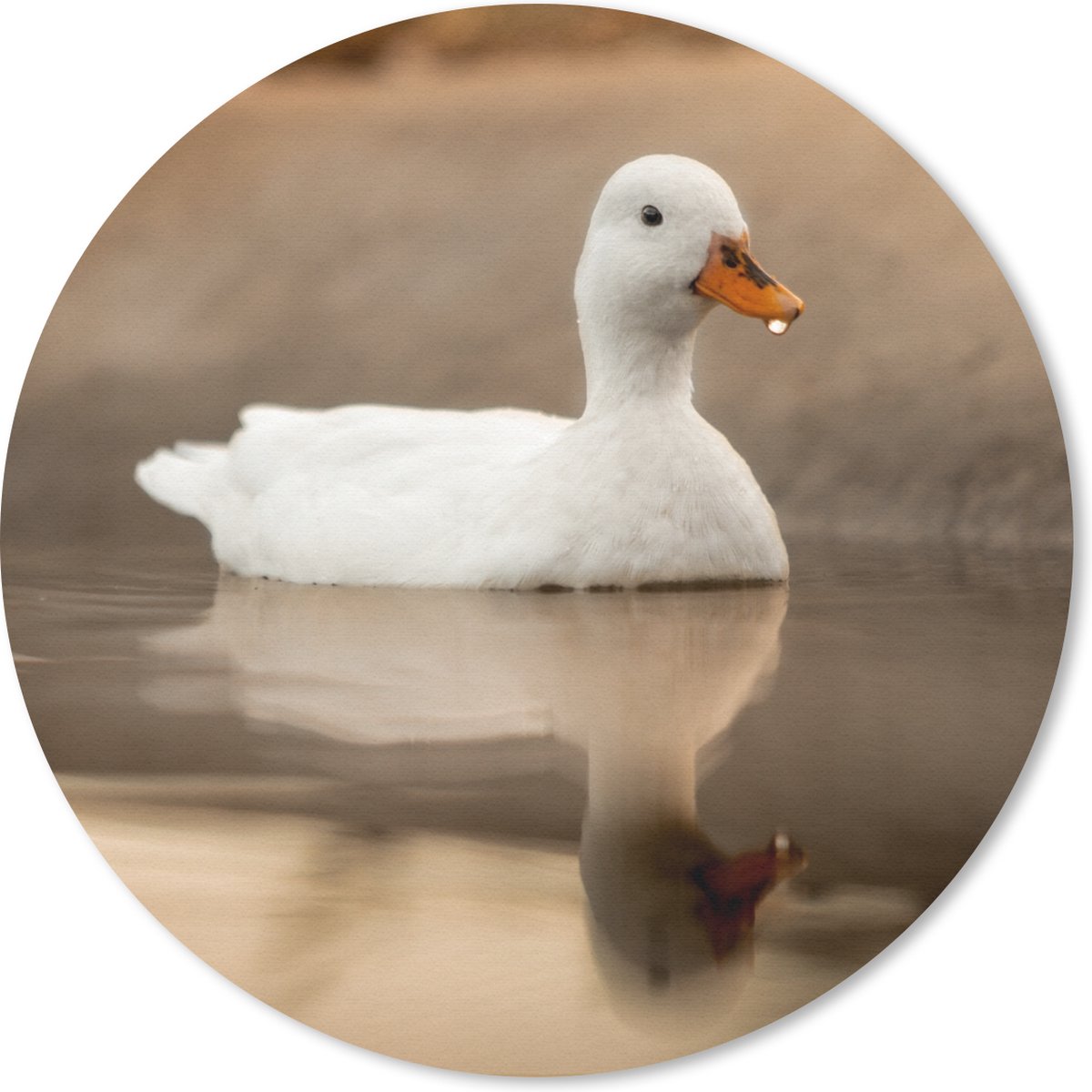 Muismat rond 40x40 cm - Mousepad Eend - Vogel - Water - Wit - Ronde muismatten