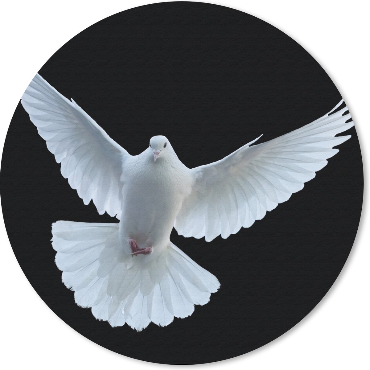 Muismat rond 30x30 cm - Mousepad Duif - Vogel - Zwart - Wit - Portret - Ronde muismatten