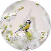 Bol.com Muismat - Mousepad - Rond - Vogel - Koolmees - Bloemen - Bloesemboom - 20x20 cm - Ronde muismat aanbieding