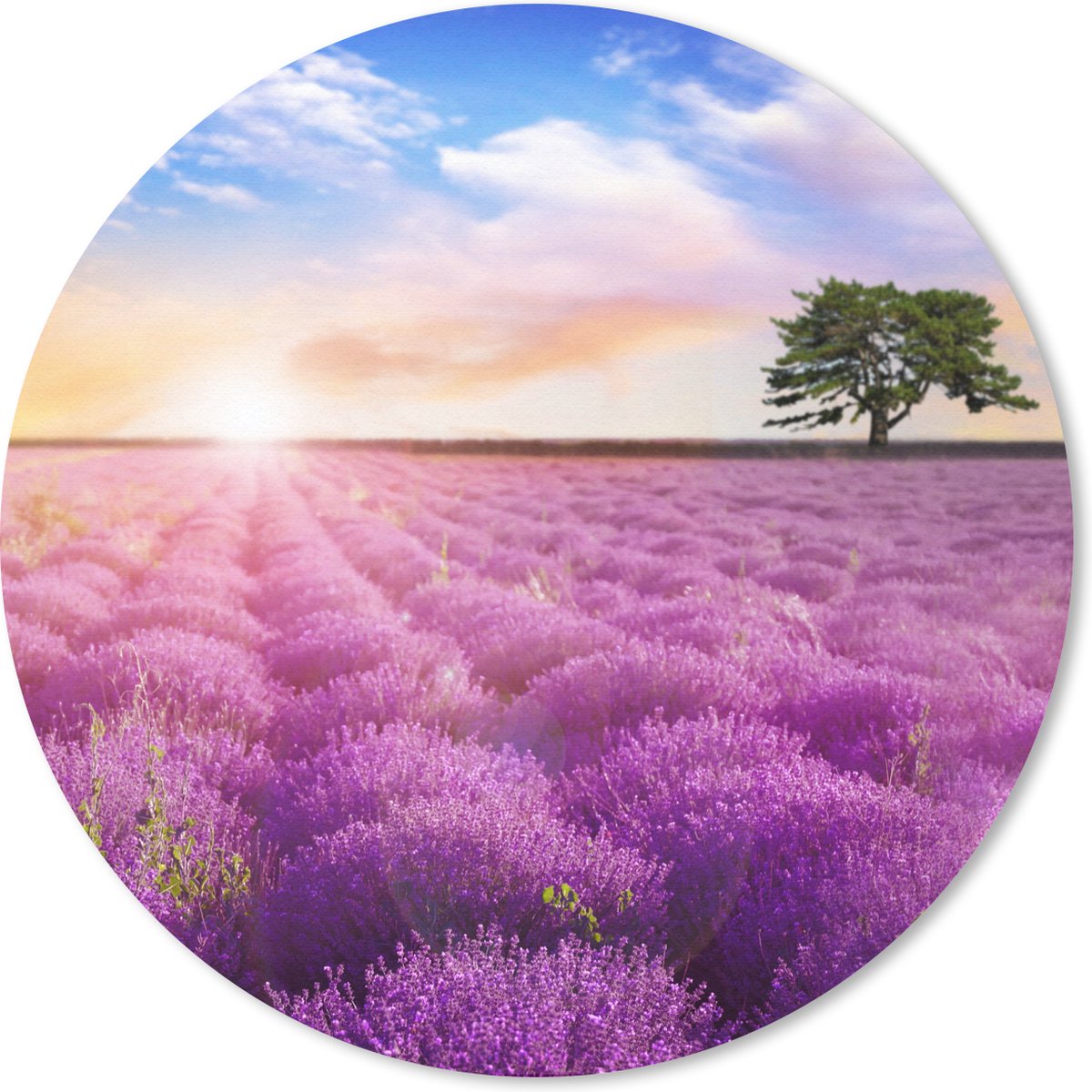 Muismat rond 30x30 cm - Mousepad Lavendel - Boom - Zonsondergang - Paars - Ronde muismatten