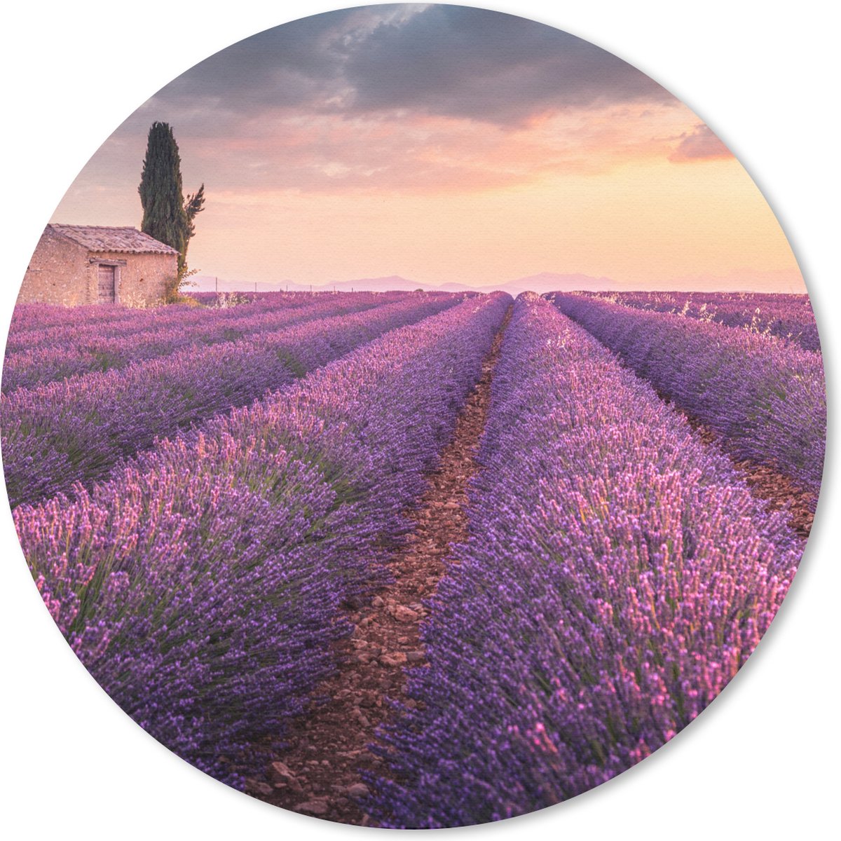 Muismat rond 30x30 cm - Mousepad Lavendel - Bloemen - Paars - Veld - Ronde muismatten