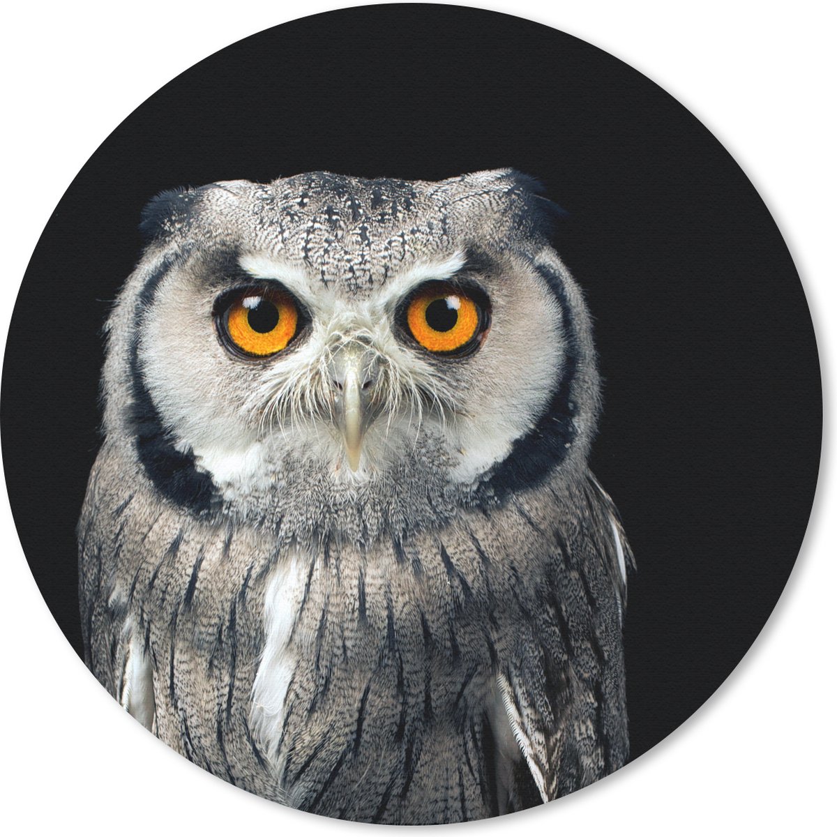 Muismat rond 30x30 cm - Mousepad Uil - Vogel - Oranje - Zwart - Ronde muismatten