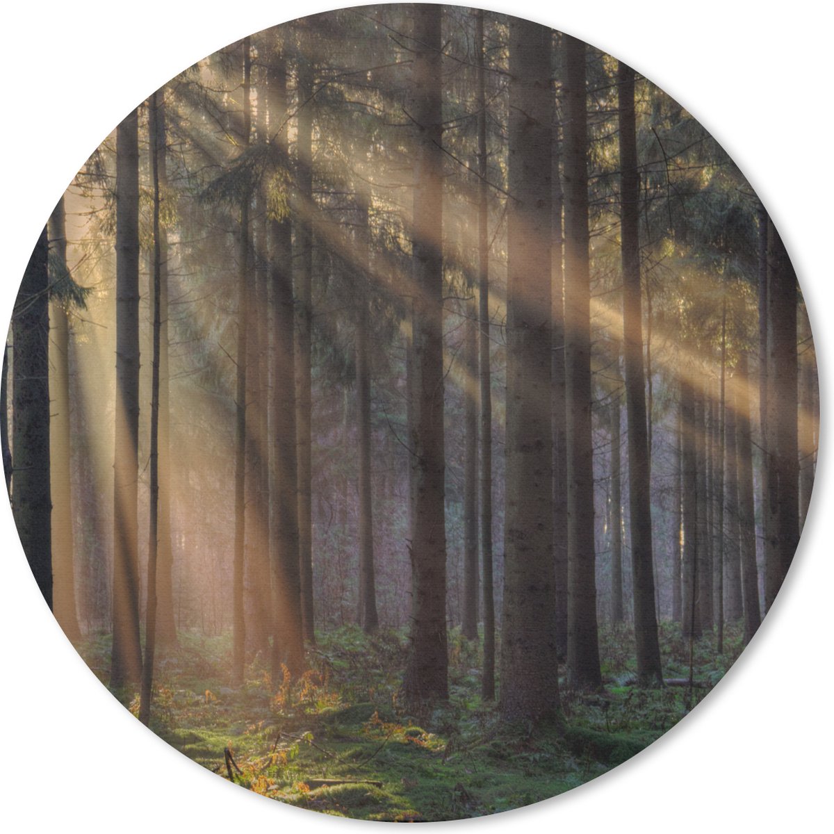 Muismat rond 20x20 cm - Mousepad Bomen - Bos - Zon - Planten - Ronde muismatten
