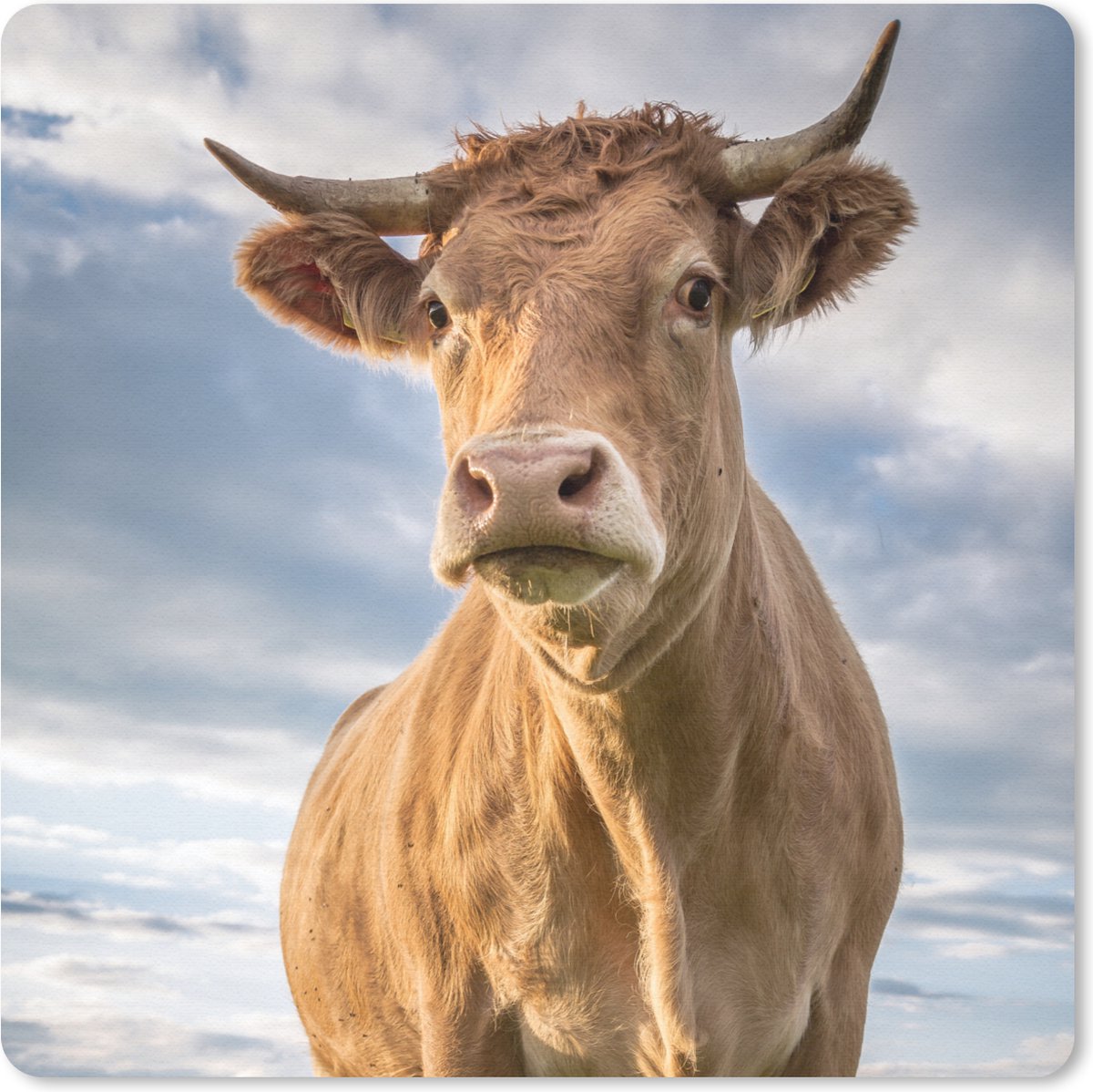 Muismat 30x30 cm - Mousepad Koe - Bruin - Natuur - Muismatten