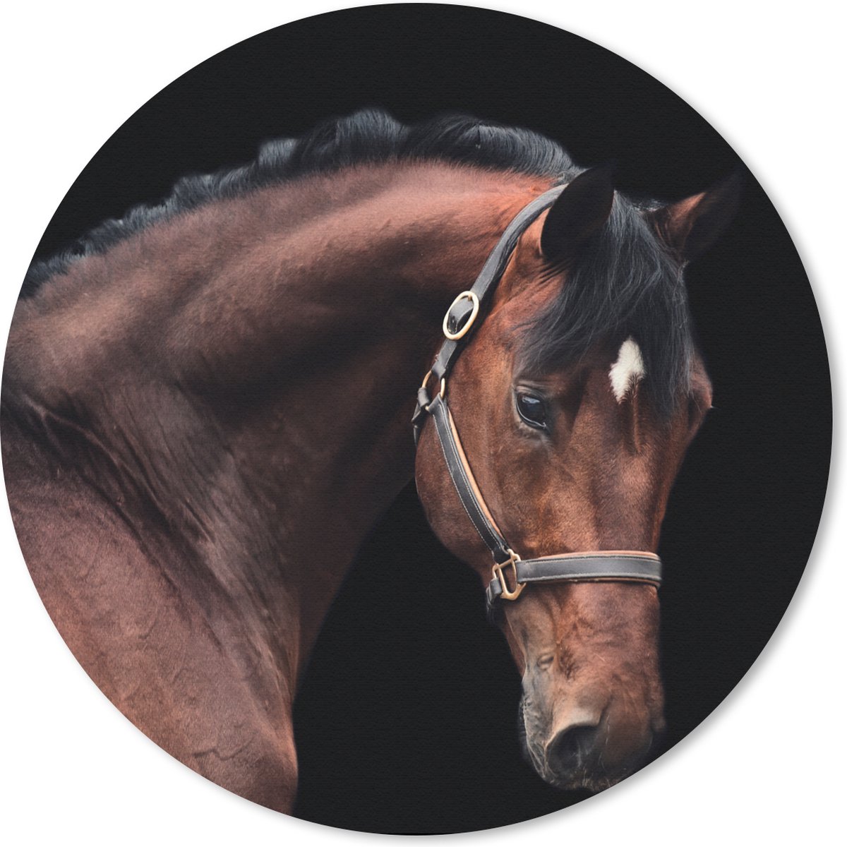 Muismat rond 30x30 cm - Mousepad Paard - Licht - Halster - Ronde muismatten