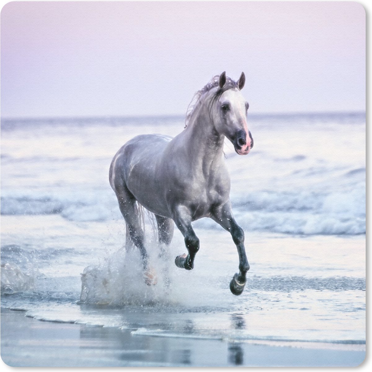Muismat 20x20 cm - Mousepad Paard - Zee - Pastel - Muismatten
