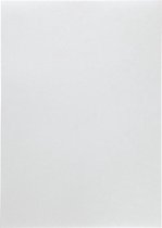 Parelmoerpapier - Zilver - A4 - 21x29,7cm - 120 gram - Paper Concept - 10 vellen