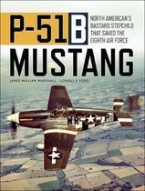 P51B Mustang North Americans Bastard Stepchild that Saved the Eighth Air Force