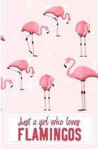 Just A Girl Who Loves Flamingos: Cute Pink Flamingo Blank Lined Note Book