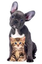 Puppy And Kitten: Notebook with 100 blank sides in format 6 X 9 ( 15,24 cm X 22,86 cm )