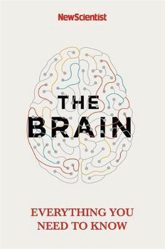 The Brain Everything You Need to Know - cover