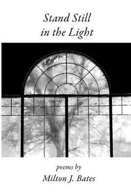 Stand Still in the Light, Milton J. Bates 9781646620265 Boeken
