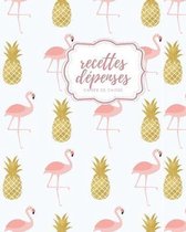 Recettes Depenses Cahier de Caisse: cahier recette depense I