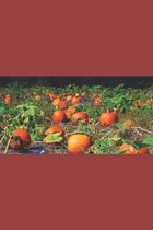 B'Ajlom II Nkotz'i'j Publications-The Misadventures of Ggg and the Pumpkin-Headed Boy