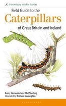 Field Guide To Caterpillar