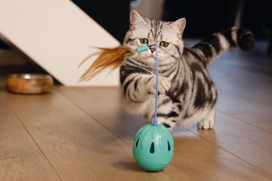 Tubo per gatto Huisdieren Katten Speeltjes Interactieve speeltjes arcaplanet Interactieve speeltjes 