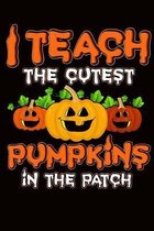 Halloween Teacher I Teach The Cutest Pumpkins In The Patch Journal Notebook