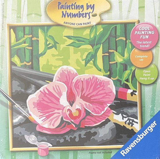 Ravensburger painting by numbers