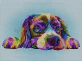 Paintd Diamond Painting Volwassenen Kinderen - Kleurrijk Hond Puppy - 30x40 - Vierkante steentje