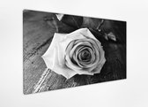 Rose in zwart en wit 80x60 cm, Zwart en wit schilderen, Canvas 100% katoen uitgerekt op het frame van hoge kwaliteit, muurhanger geïnstalleerd, Wanddecoratie.