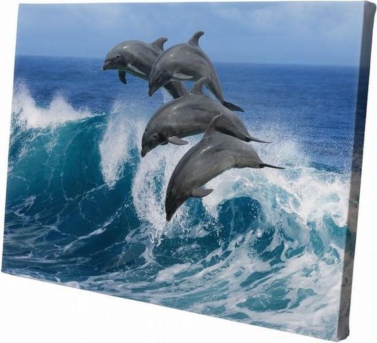 Dolfijnen springend | 60 x 40 CM | Wanddecoratie | Dieren op canvas |Schilderij | Canvasdoek | Schilderij op canvas