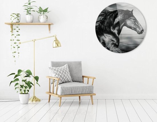 Cheval noir et blanc se bouchent| 60 x 60 cm | Animaux sur plexiglas | Décoration murale | Peinture Animaux | Cercle mural en plexiglas de 5 mm d'épaisseur