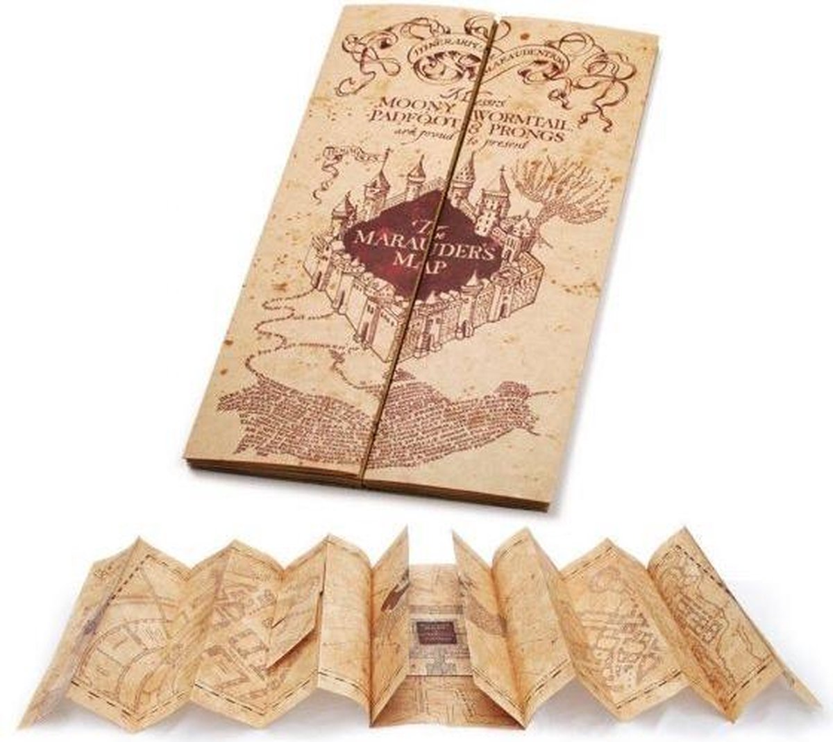 Pols horloge Harry Potter - Marauder‘s Map | Kleding en accessoires voor  fans van merchandise