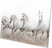 Witte paarden | 60 x 40 CM| Wanddecoratie | Dieren op plexiglas | Schilderij | Plexiglas | Schilderij op plexiglas