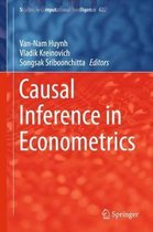 Causal Inference in Econometrics