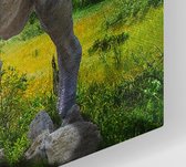 Dinosaurus T-Rex in grasland - Foto op Canvas - 150 x 100 cm