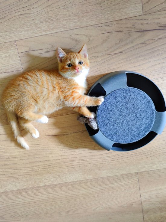 Katten Speel Wiel Met Muis- Interactief Kattenspeelgoed - Speelgoed Kat -  Katten... | bol.com