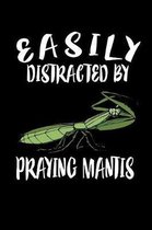 Easily Distracted By Praying Mantis