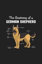 The Anatomy of a German Shepherd