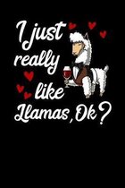 I Just Really Like Llamas, Ok?: Cute Llama Notebook