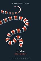 Snake Object Lessons