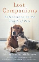 Lost Companions Reflections On Death Pet