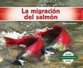 La Migracion Del Salmon/ Salmon Migration