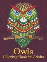 Owls coloring book for adults: Amazing Owl Coloring Book for Adult (Creative and Unique Coloring Books for Adults)