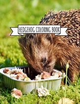 Hedgehog Coloring Book