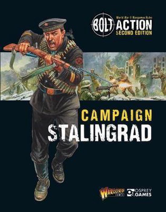 Afbeelding van het spel Campaign - Stalingrad