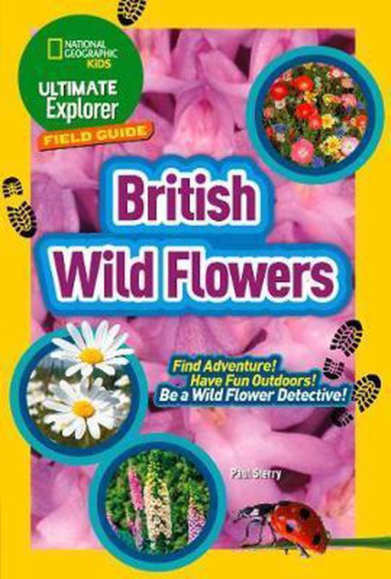 Ultimate Explorer Field Guides British Wild Flowers, National