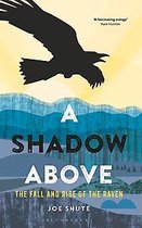 A Shadow Above The Fall and Rise of the Raven