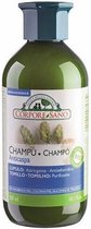 Corpore Champu Anticaida Formato Ahorro 200ml