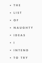 The list of naughty ideas I intend to try: A fun notebook for ideas, creativity, projects and thinking outside the box.