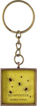 De "echte teken" sleutelhanger - bronskleurig/geel