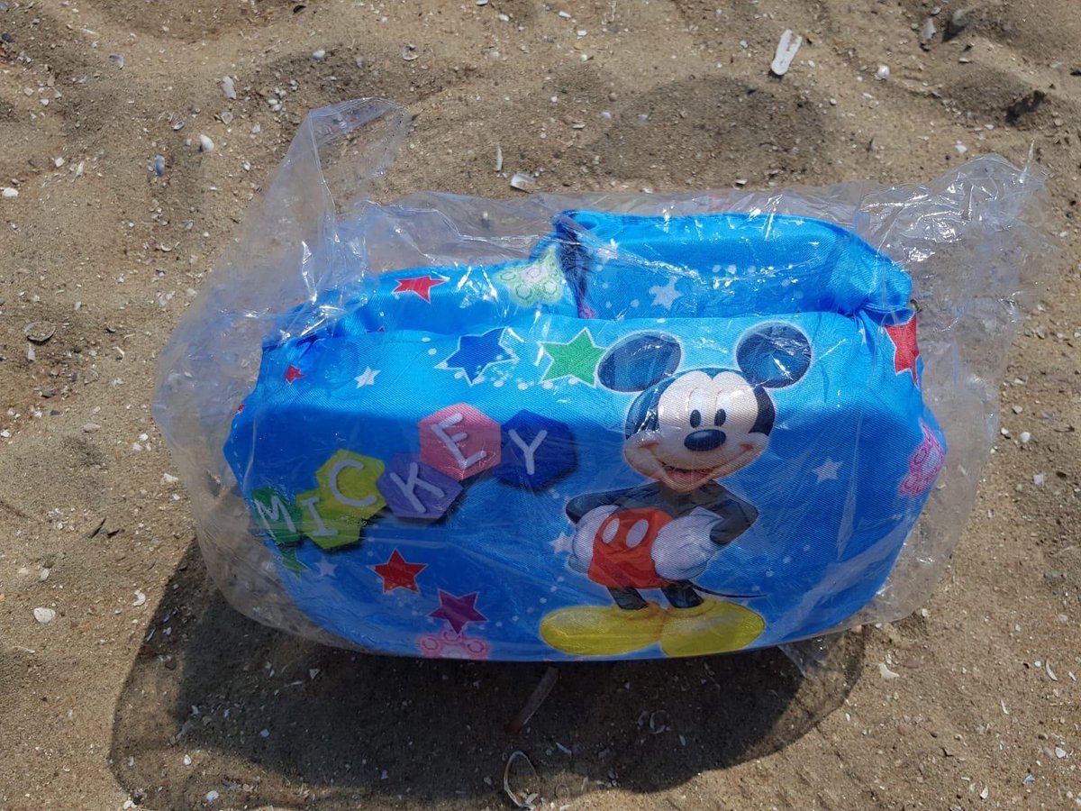 Zwemvest Zwemband Disney Mickey Mous